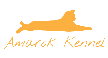 keeping outdoor cats healthy